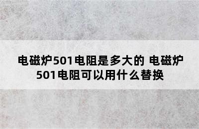 电磁炉501电阻是多大的 电磁炉501电阻可以用什么替换